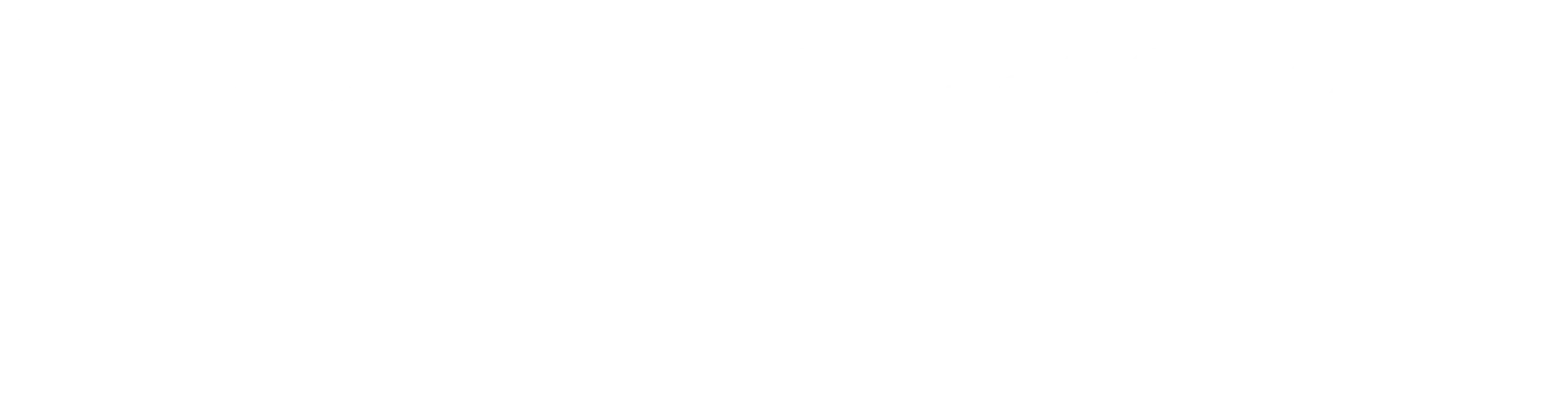 ES_Financiado_por_la_Unión_Europea_RGB_WHITE_Outline
